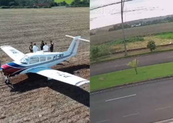 Avião perde potência e piloto faz pouso de emergência em plantação de milho, no PR